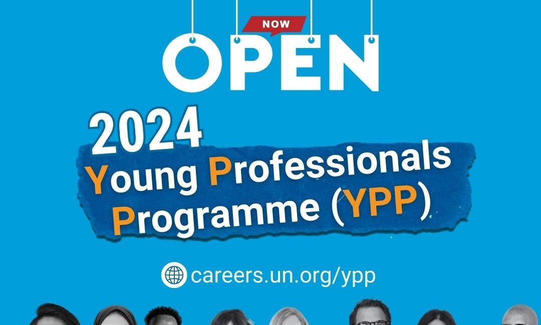 Birleşmiş Milletler, nitelikli genç bireyler için genç profesyoneller programı (YPP)