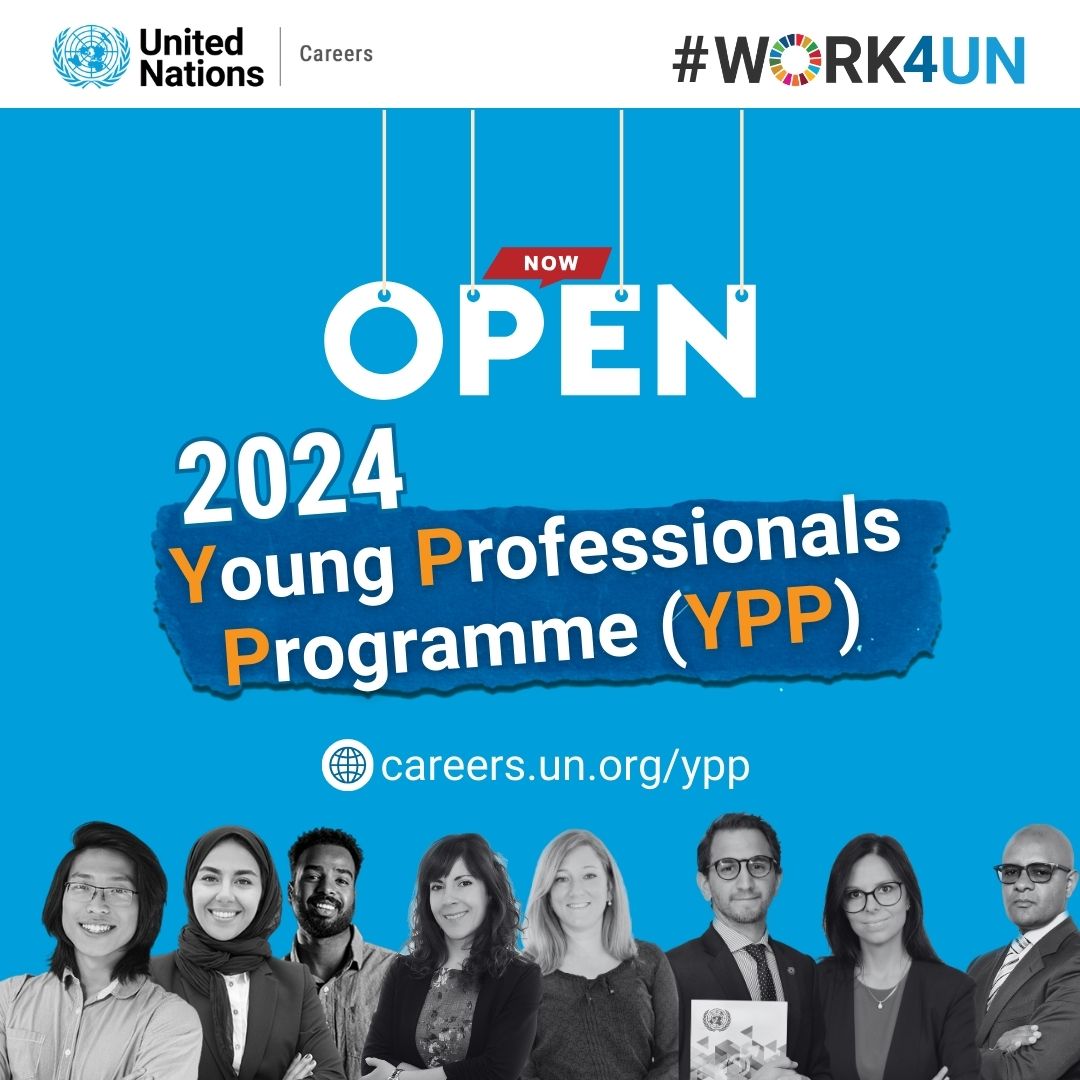 Birleşmiş Milletler, nitelikli genç bireyler için genç profesyoneller programı (YPP)