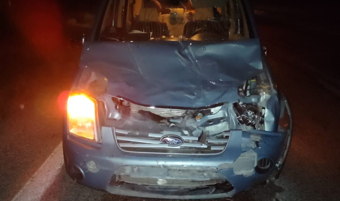 Afyonkarahisar’ın Dinar ilçesinde sahipsiz eşeklere çarpan hafif ticari araçtaki 2