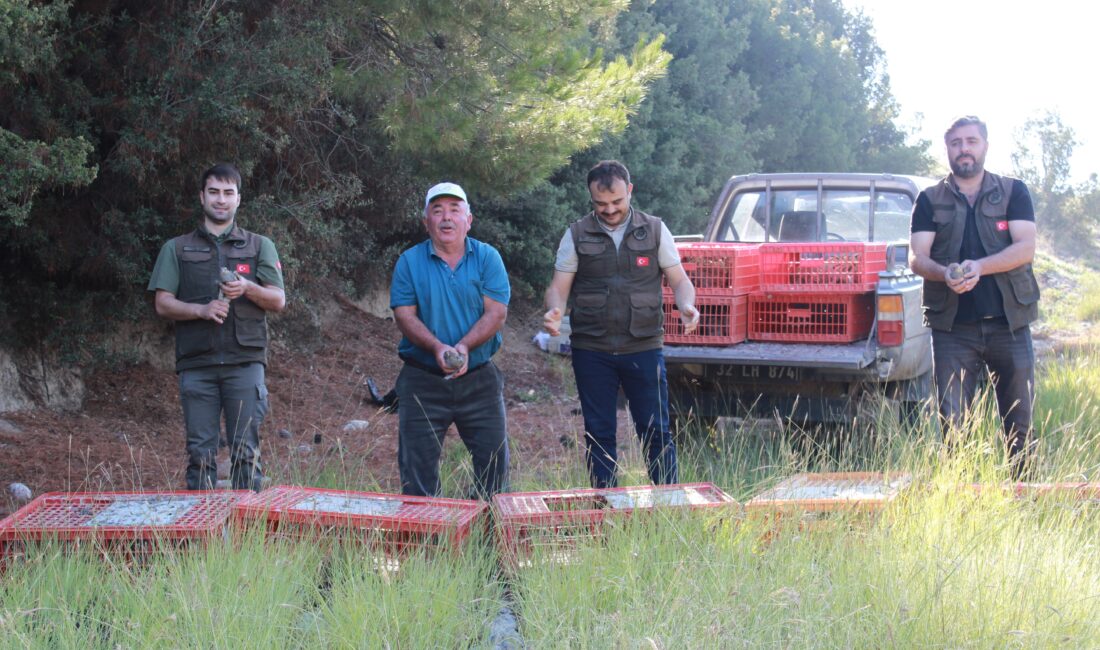 Afyonkarahisar'ın katkılarıyla Burdur'da doğa canlanıyor. Afyonkarahisar Şuhut ilçesinde bulunan Yaban