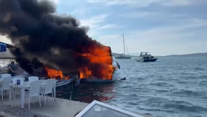 Balıkesir'in Ayvalık ilçesine bağlı sahil şeridinde, Alesta adlı özel bir