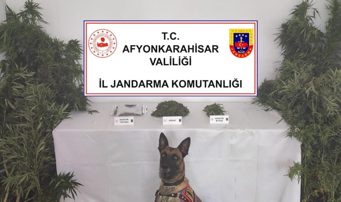 Afyonkarahisar'da Kenevir Operasyonunda Ele Geçirildi: Evinde Uyuşturucu Madde Üretimi Yapan