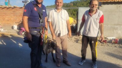 Eskişehir’de Afet ve Acil Durum Yönetimi Başkanlığı (AFAD) ekipleri tarafından