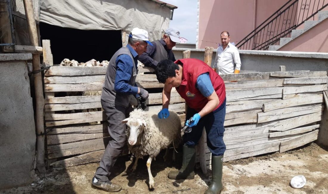
Tarım ve Orman Bakanlığı'nın merkez ve taşra teşkilatları, hayvan hastalıklarına