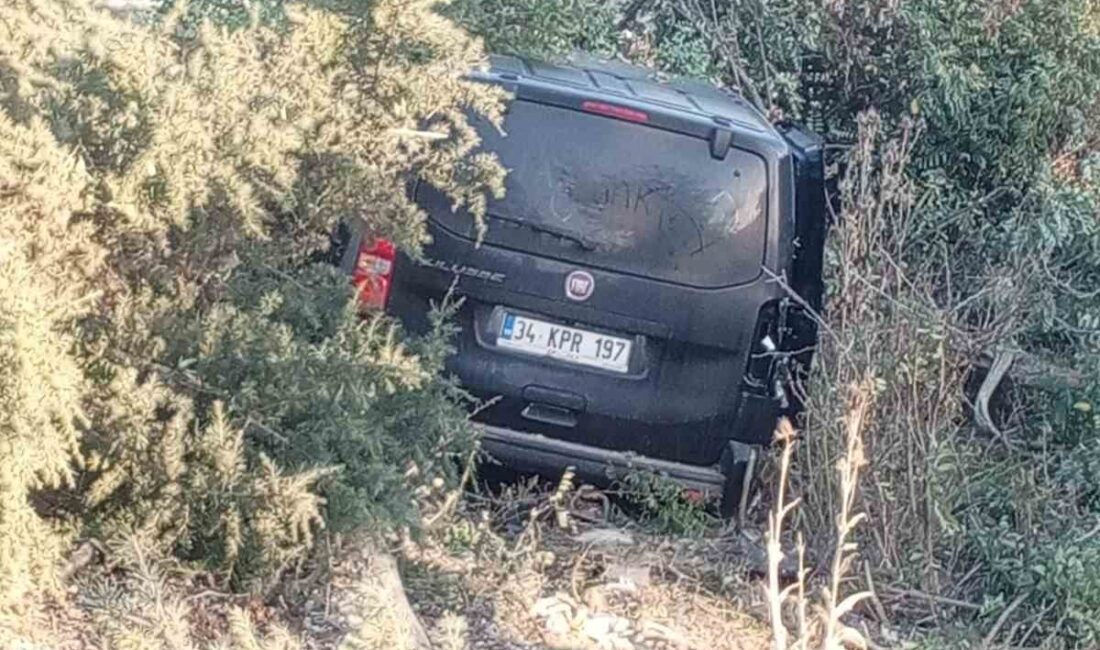 Afyonkarahisar'da, yönetimindeki aracın hakimiyetini kaybeden bir sürücü, içinde bulunduğu hafif