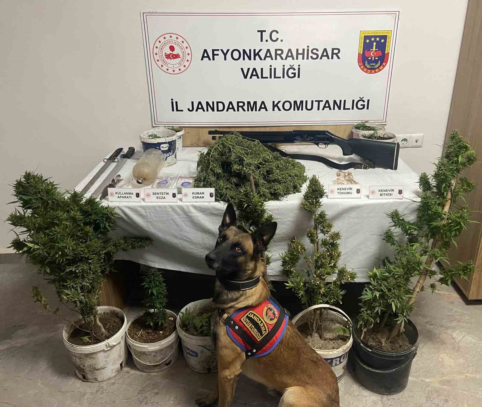 Afyonkarahisar’da jandarma tarafından bir ilçe ve 3 beldede gerçekleştirilen uyuşturucu