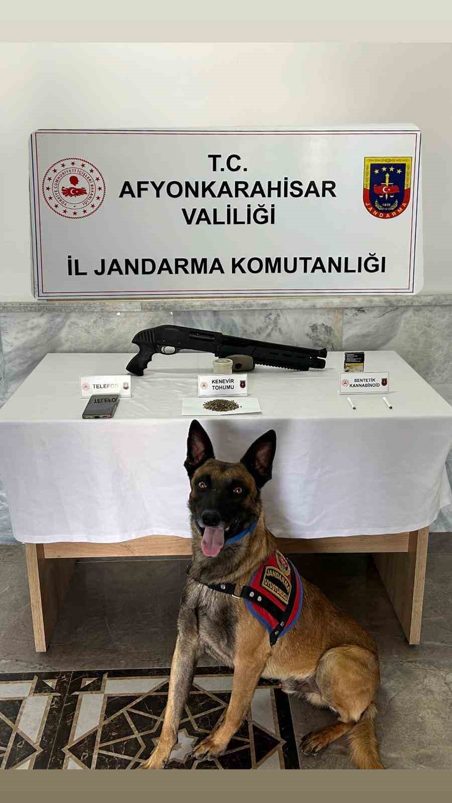 "Afyon'da Jandarmanın Nefesi Uyuşturucu Barındıran İkilinin Ensesinde: Kenevir, Bonzai ve