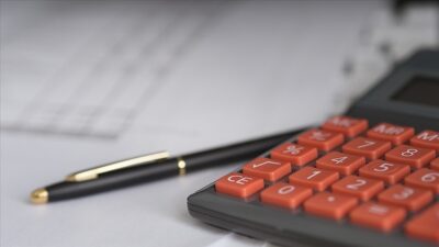 Hazine ve Maliye Bakanlığı, beyan ettiği geliri ile hasılatı arasında