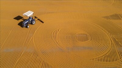 Tarım ve Orman Bakanı İbrahim Yumaklı, bugün itibarıyla 2 milyar