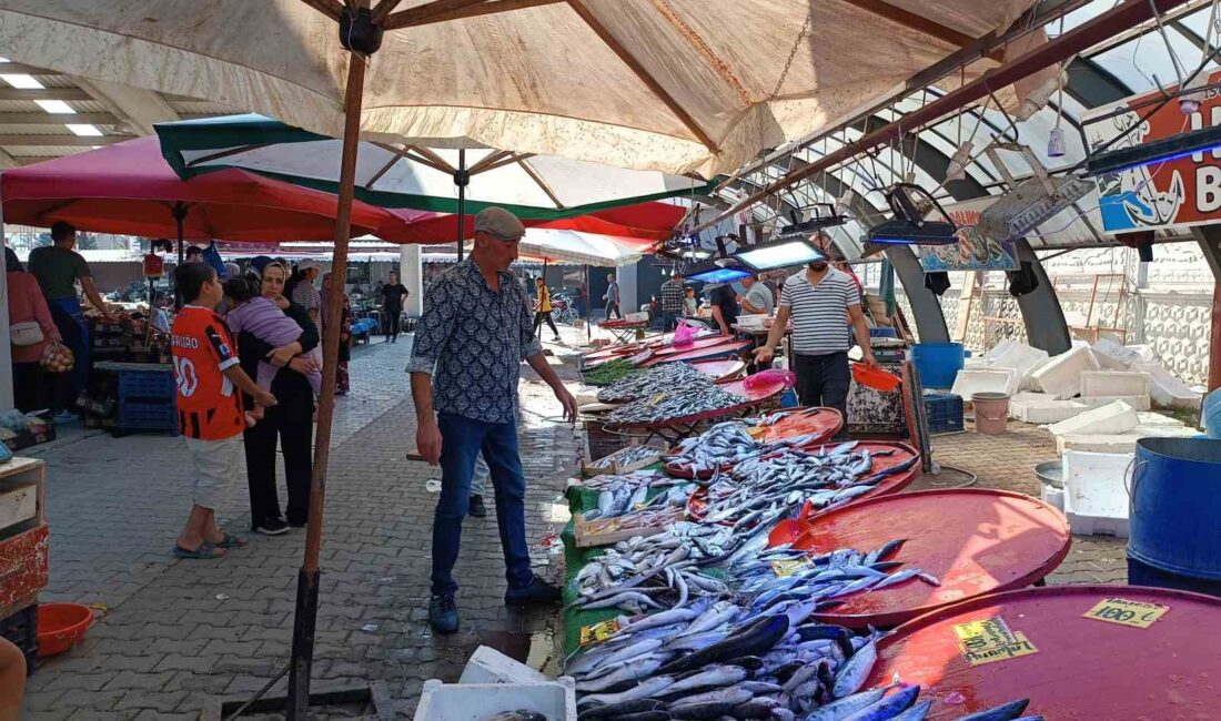 Av sezonun sona ermesiyle birlikte Afyonkarahisar’daki tezgahlar balıkla dolup taşarken