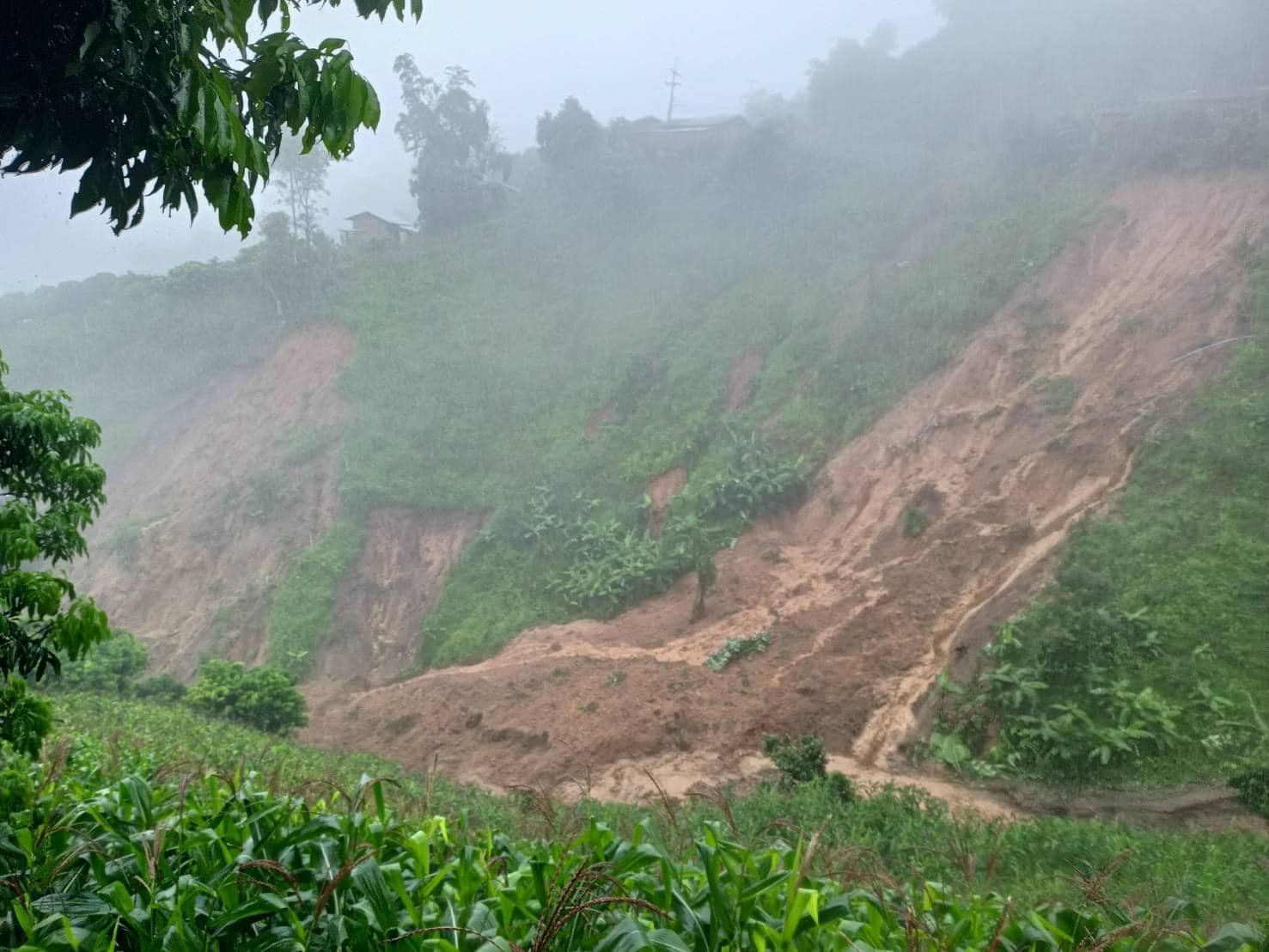 ASYA'DA BİRÇOK ÜLKEDE FELAKETE YOL AÇAN YAGİ TAYFUNU'NUN TAYLAND'IN KUZEYİNE