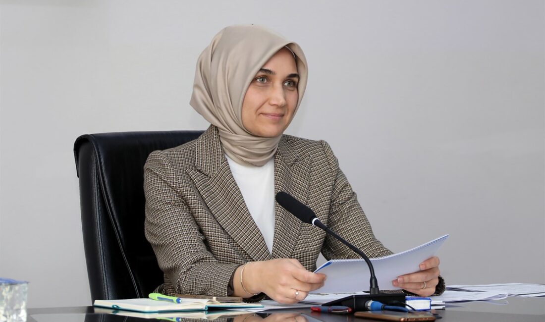 İl genelinde devam eden kamu yatırımlarının ve diğer iş ve