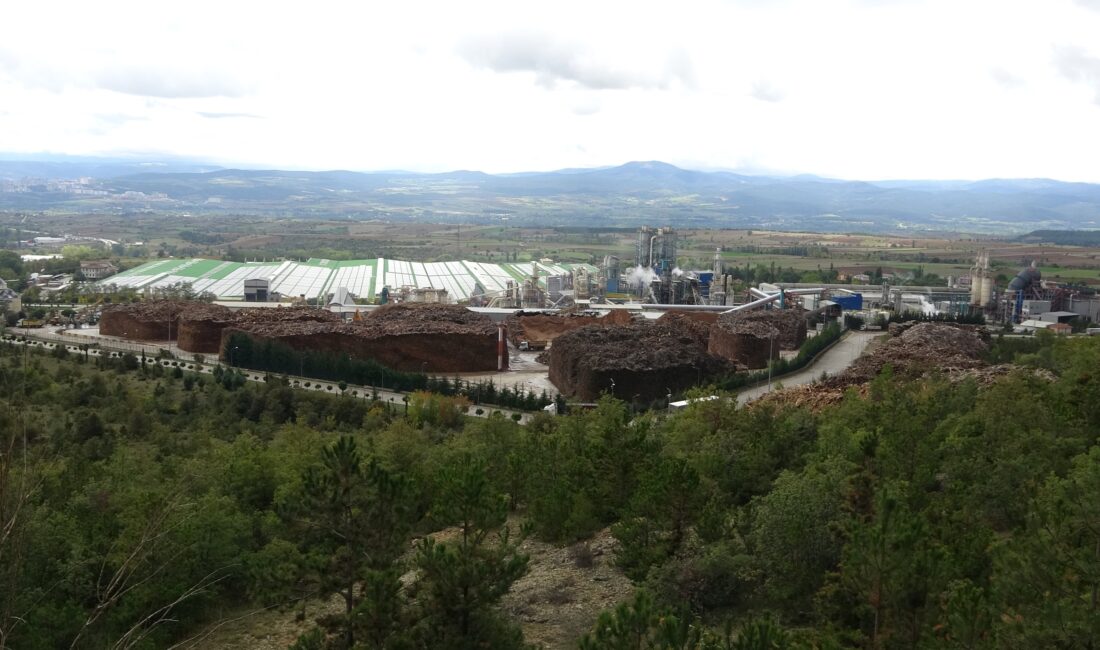 Kastamonu Entegre firmasını, belgede sahtecilik ve benzeri yöntemlerle 100 milyon