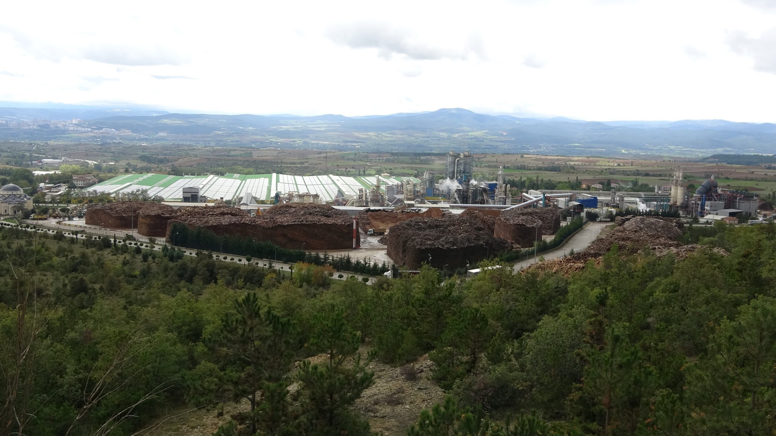 Kastamonu Entegre firmasını, belgede sahtecilik ve benzeri yöntemlerle 100 milyon