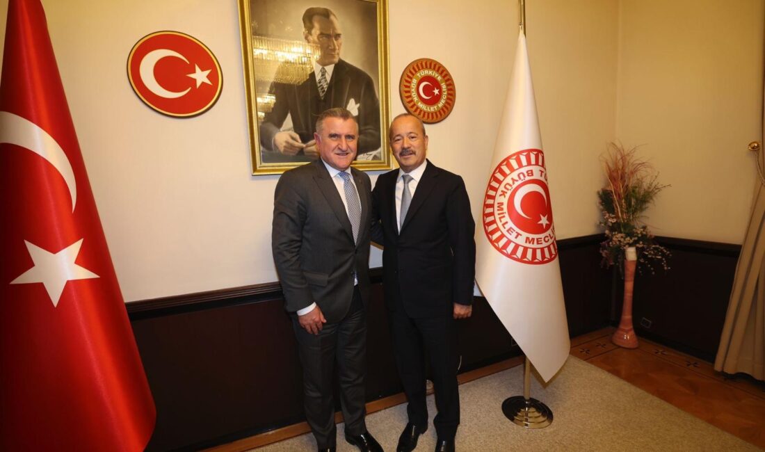 Milliyetçi Hareket Partisi (MHP) Afyonkarahisar Milletvekili Mehmet Taytak, Gençlik ve