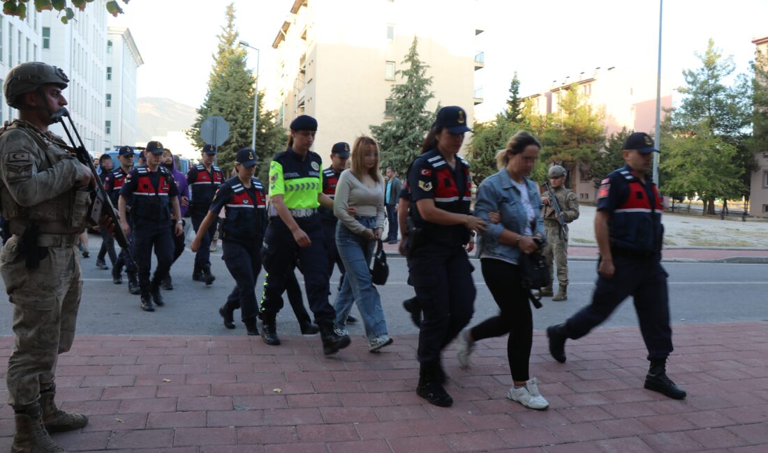 Denizli'de sosyal medya üzerinden Türkiye genelinde sahte ilanlar vererek dolandırıcılık