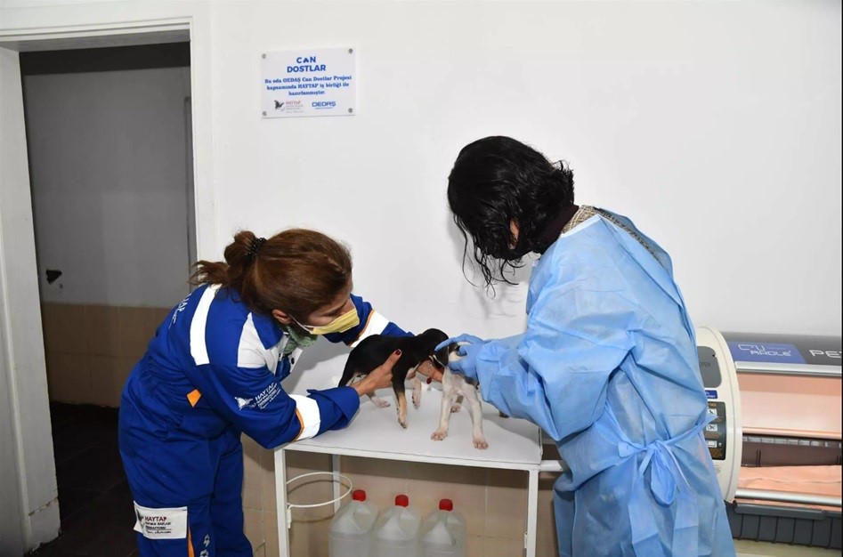 Can Dostlar sosyal sorumluluk projesini sivil toplum kuruluşları ve yerel