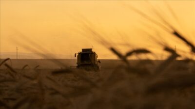 Tarım ve Orman Bakanlığı, Organize Tarım Bölgesi (OTB) yatırımcılarına yönelik