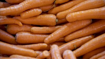 Türkiye Ziraat Odaları Birliği (TZOB) Genel Başkanı Şemsi Bayraktar, eylülde