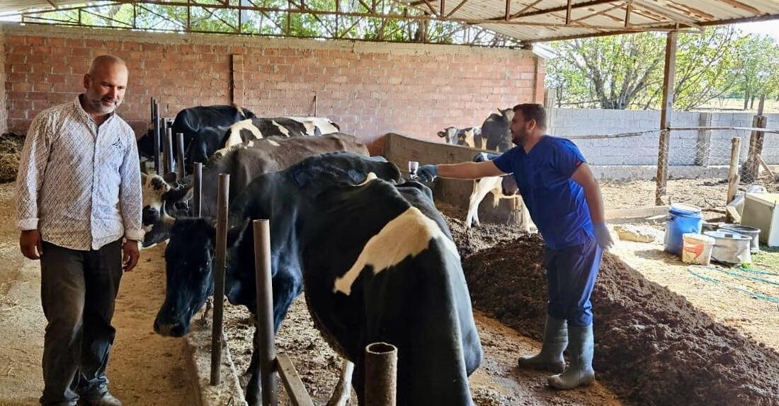 Afyonkarahisar’da Tarım ve Orman Müdürlüğü tarafından başlatılan aşılama programı devam