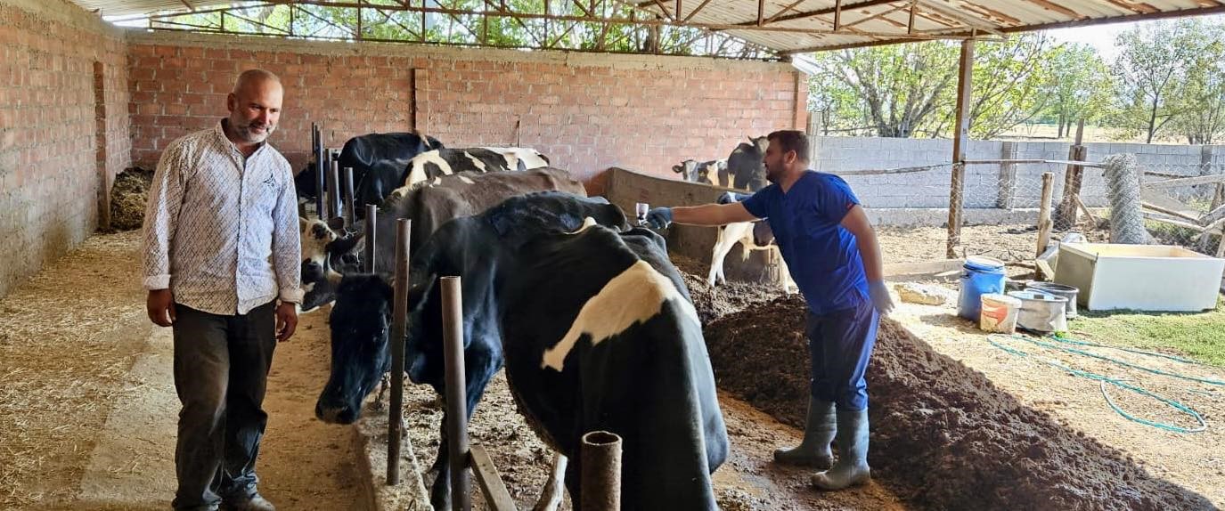 Afyonkarahisar’da Tarım ve Orman Müdürlüğü tarafından başlatılan aşılama programı devam