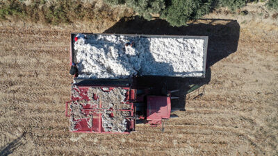 
Lif kalitesiyle dünyaca tanınan ve Avrupa Birliği tarafından coğrafi işaret