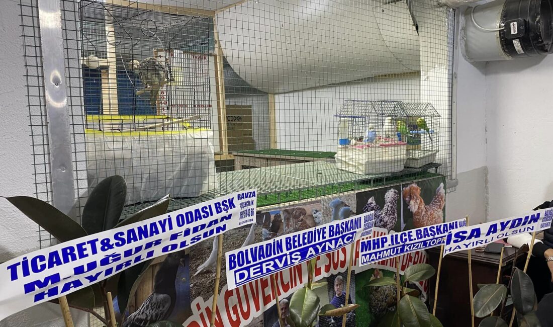 Bolvadin Güvercin ve Süs Tavukları Derneği açıldı.