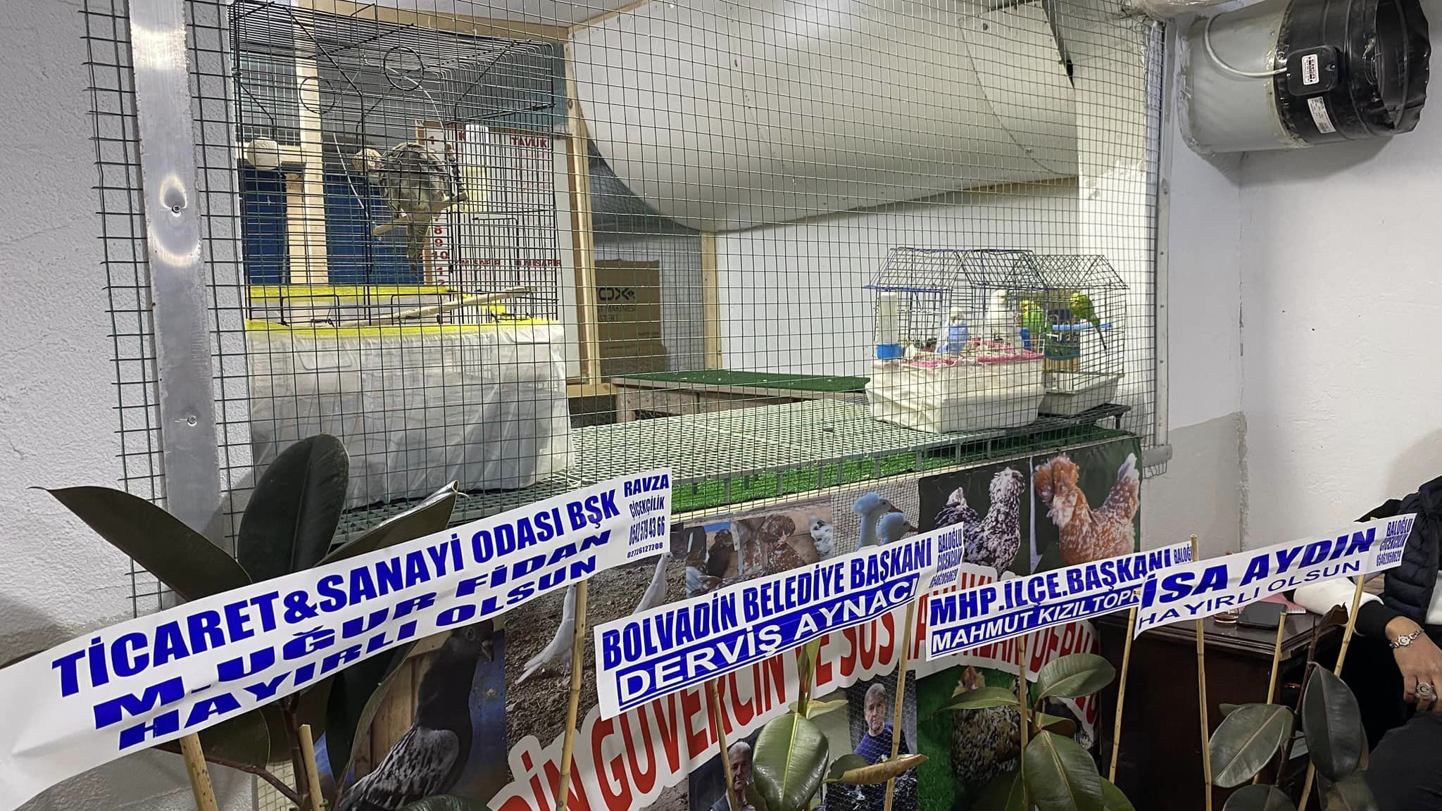 Bolvadin Güvercin ve Süs Tavukları Derneği açıldı.