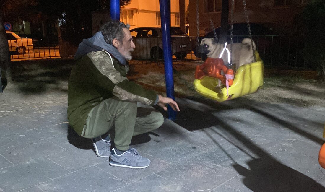Eskişehir'de sahibinin çocuk parkına götürdüğü köpeğini bir bebek gibi salıncağa