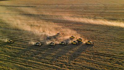 Türkiye İstatistik Kurumu (TÜİK), Ağustos ayı Tarımsal girdi fiyat endeksini