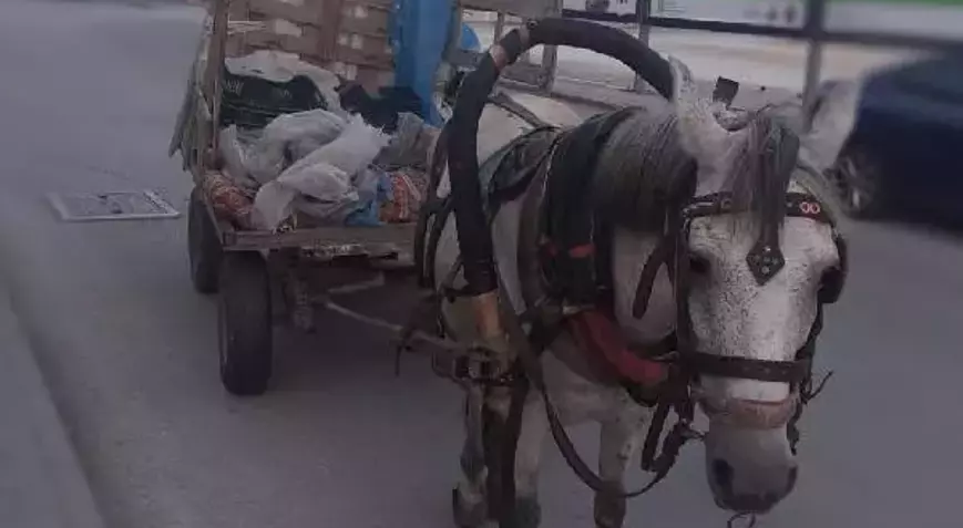 Kağıt toplama adı altında hırsızlık yapmaya devam ediyorlar.