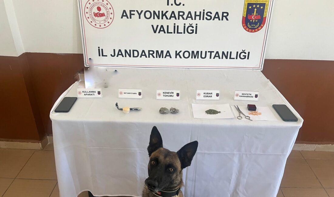Jandarma zehir tacirlerine geçit yok Afyonkarahisar'da jandarma ekipleri gerçekleştirdikleri bir operasyonda çeşitli türlerde uyuşturucu madde