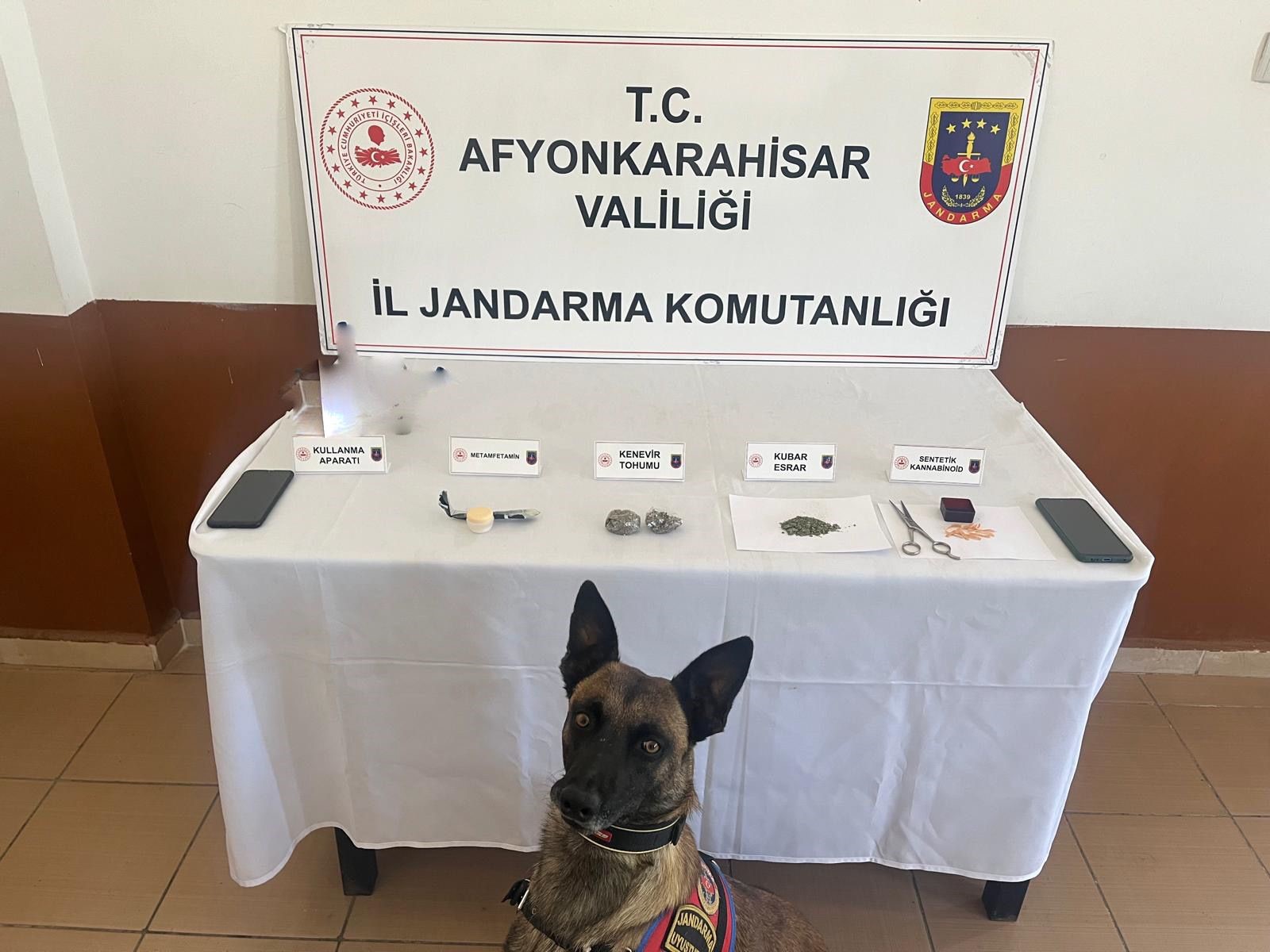 Afyonkarahisar'da jandarma ekipleri gerçekleştirdikleri bir operasyonda çeşitli türlerde uyuşturucu madde