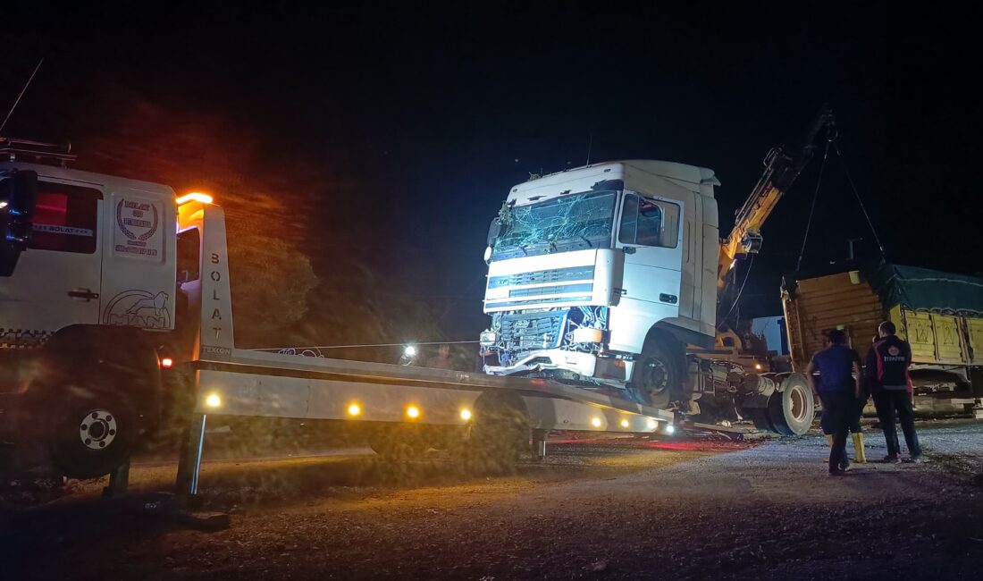 Afyonkarahisar’da kontrolden çıkan tır orta refüje girip ağaçları devirerek durabilirken,
