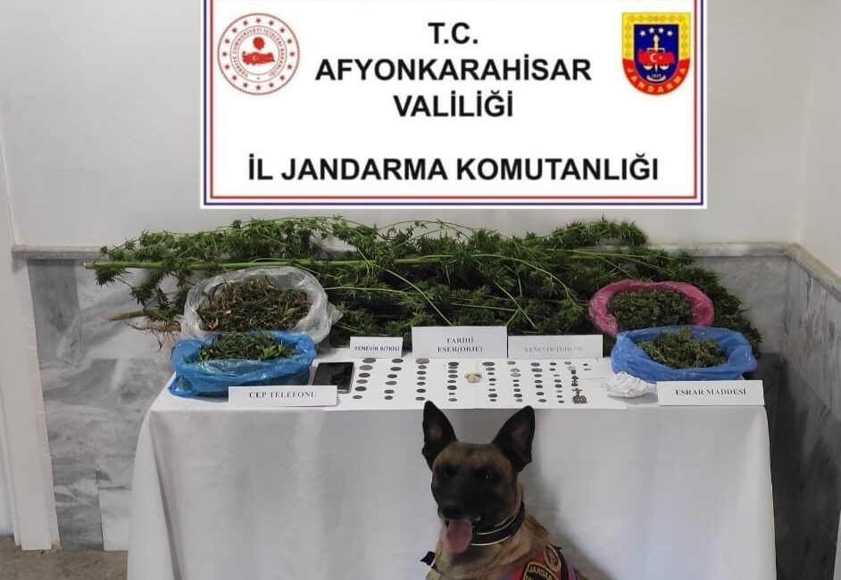 Afyonkarahisar’da jandarma tarafından gerçekleştirilen operasyonda 2 bin 130 kök kenevir