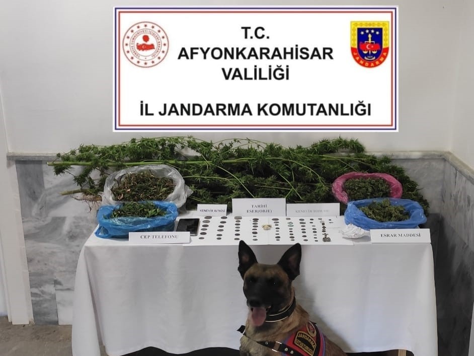 Afyonkarahisar’da jandarma tarafından gerçekleştirilen operasyonda 2 bin 130 kök kenevir