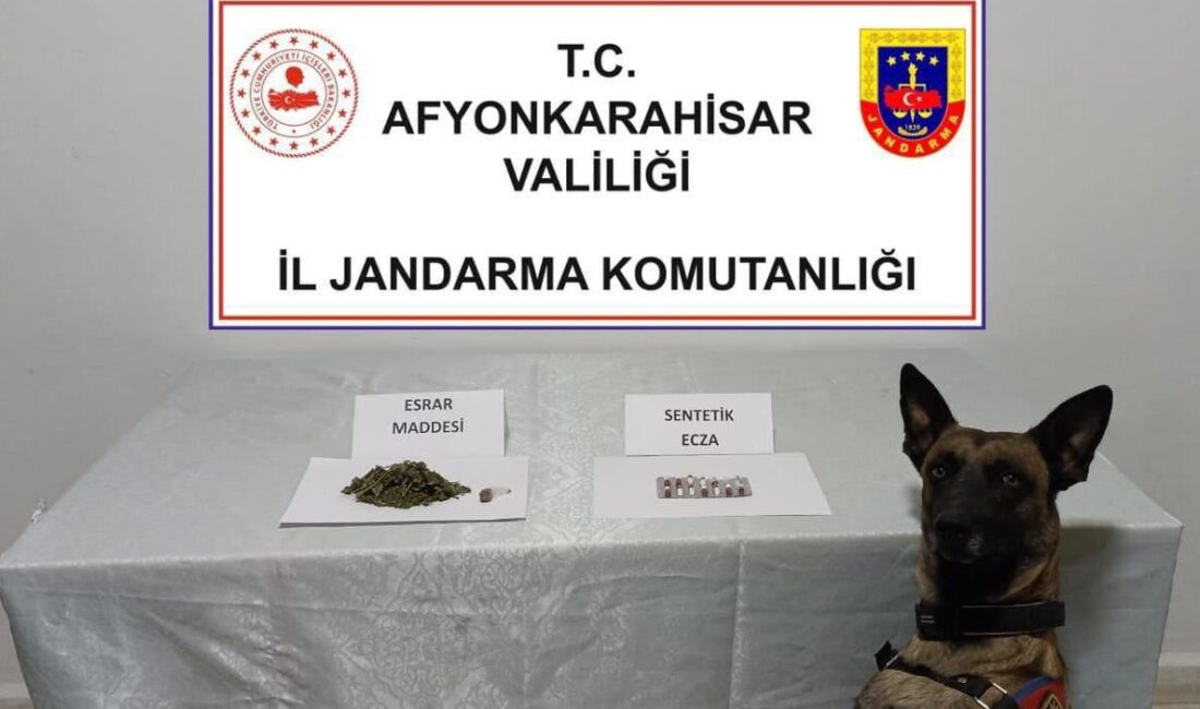 Jandarma uyuşturucu maddeler ele geçirdi Afyonkarahisar’da jandarma tarafından durdurulan bir araçta yapılan aramada farklı türlerde