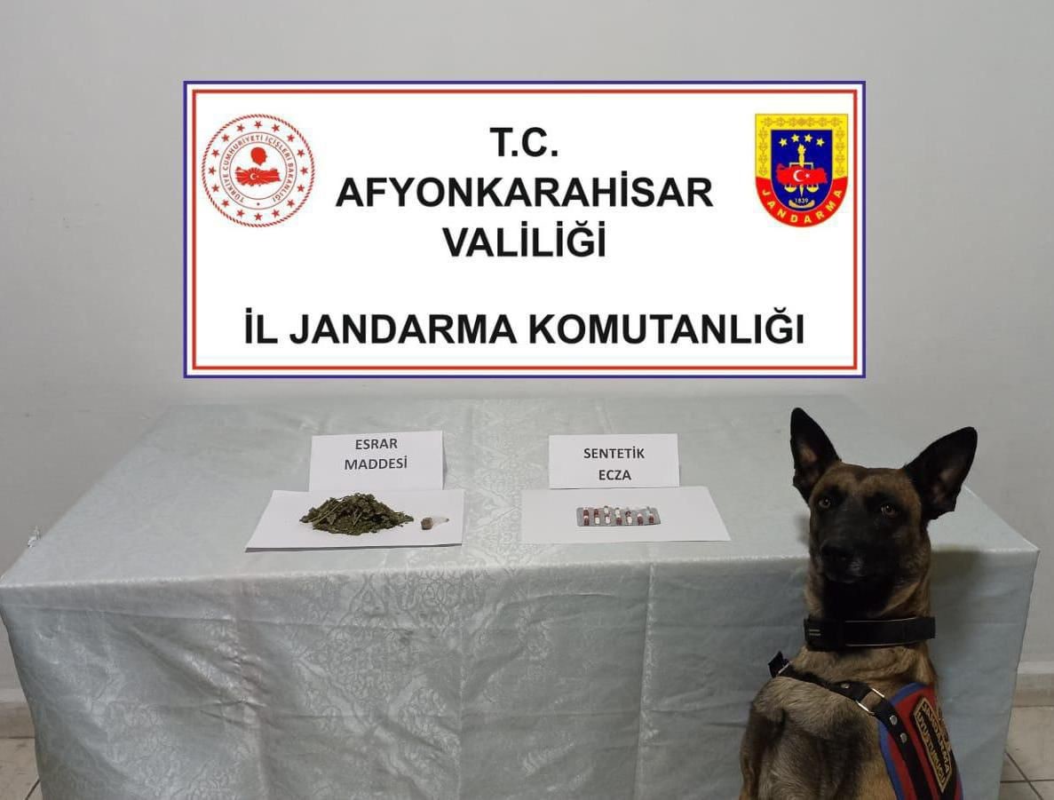Afyonkarahisar’da jandarma tarafından durdurulan bir araçta yapılan aramada farklı türlerde