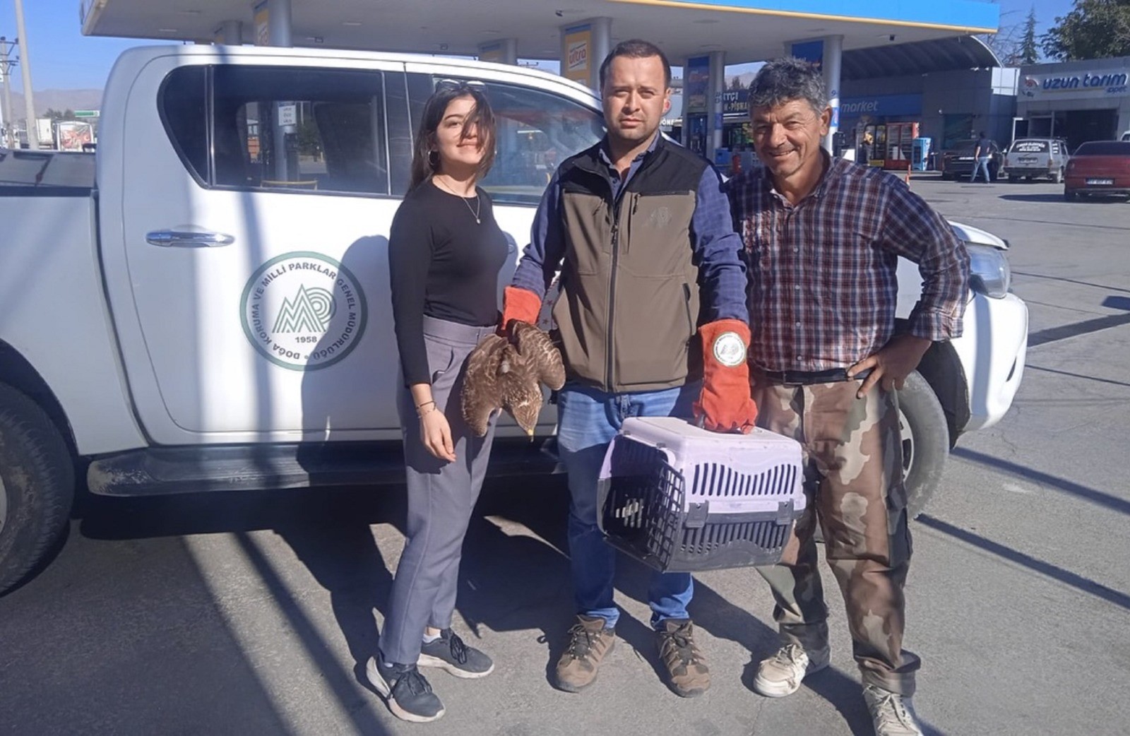 Afyonkarahisar’da yaralı halde bulunan kızıl şahin ve çakal koruma altına