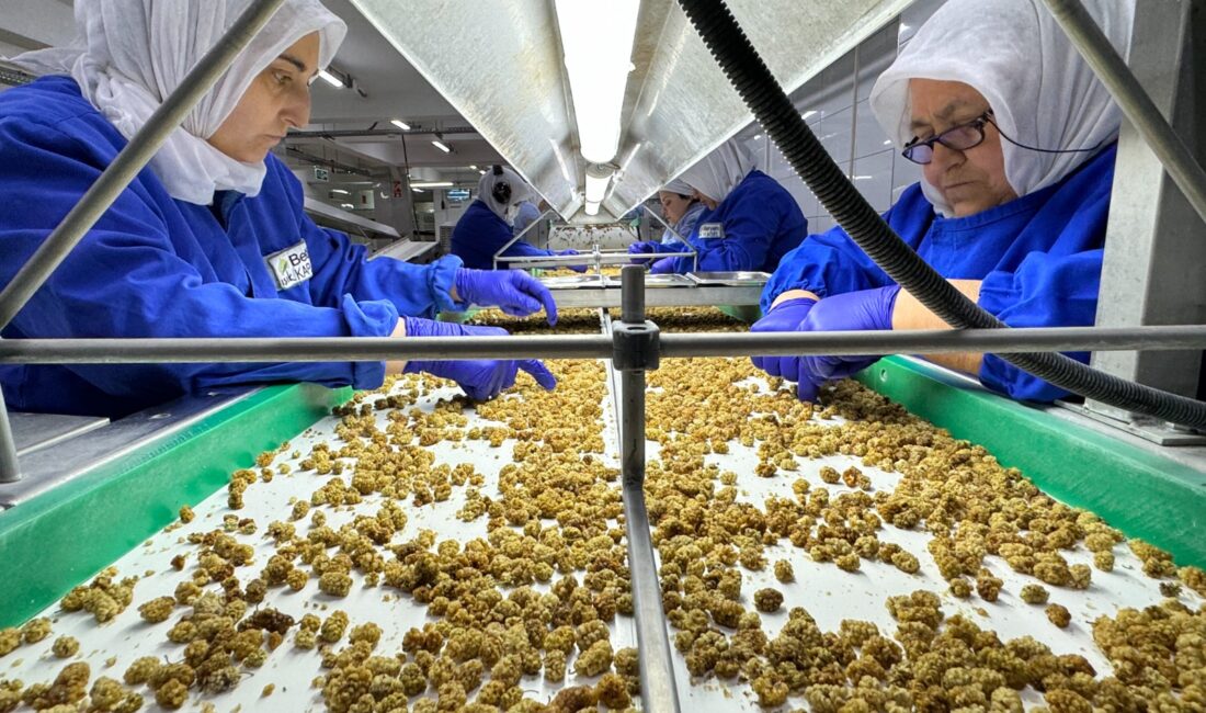 
Türkiye’nin yıllık 1,7 milyar dolarlık kuru meyve ihracatının yüzde 60’ının