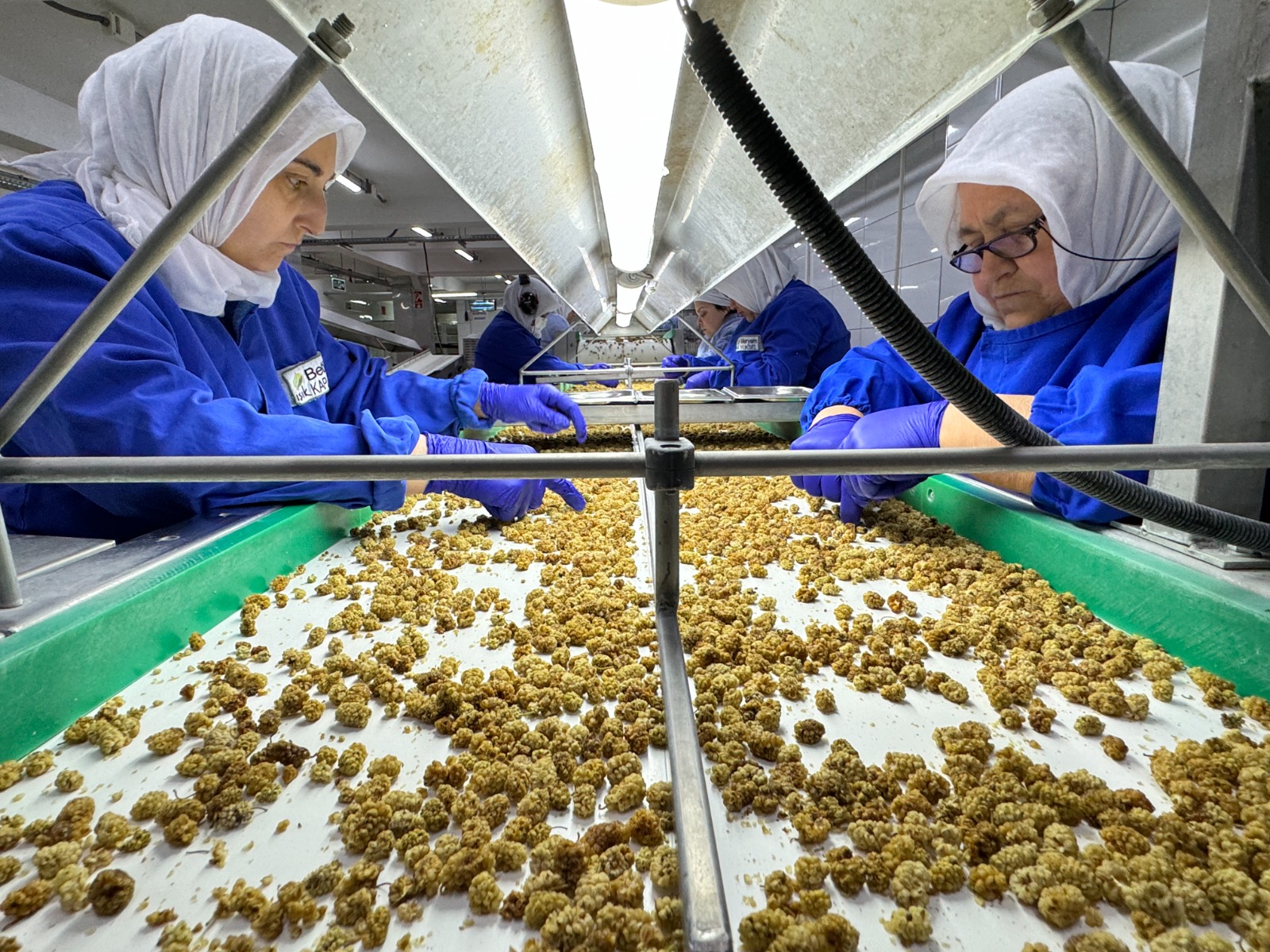 
Türkiye’nin yıllık 1,7 milyar dolarlık kuru meyve ihracatının yüzde 60’ının