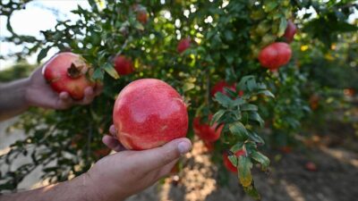 Türkiye'den 114 ülkeye yılın 9 ayında 1 milyar 160 milyon