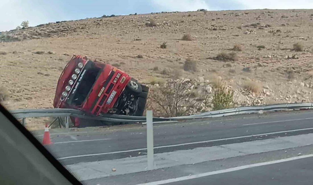 AFYONKARAHİSAR'DA SEYİR HALİNDEKİ PATATES YÜKLÜ KAMYON İLE BÜYÜKBAŞ HAYVAN YÜKLÜ