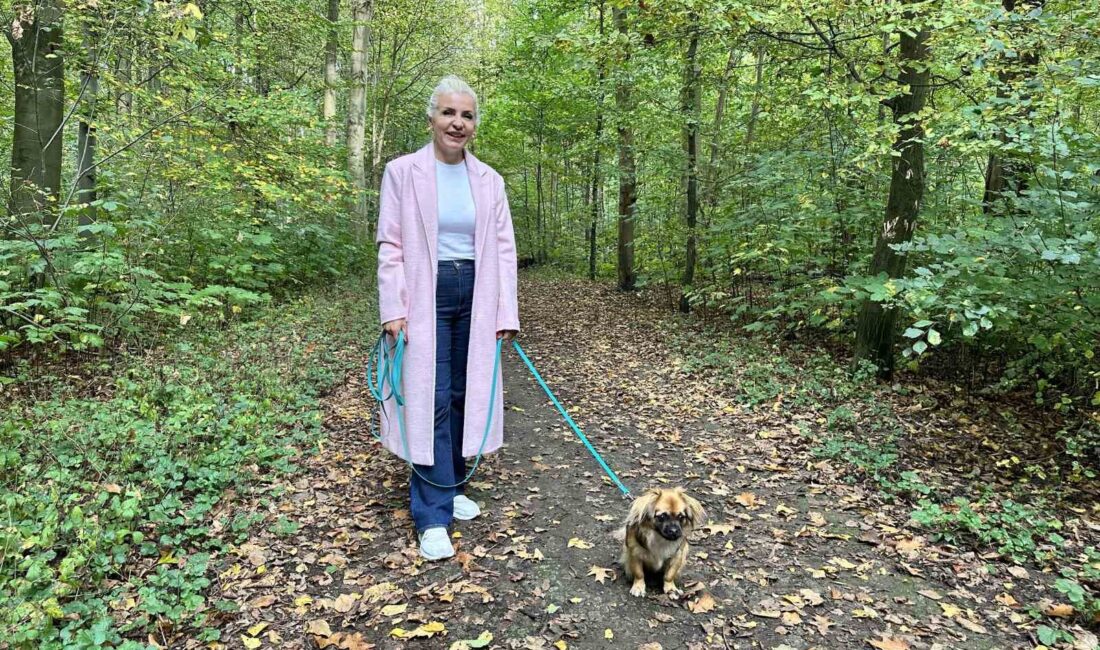 Almanya’da köpek sahiplerinden, evcil hayvanın yerel yönetimlerce kaydedilmesiyle birlikte köpek