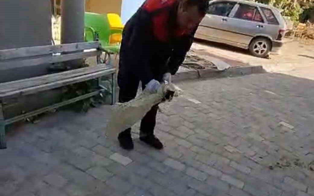 Afyonkarahisar’ın Şuhut ilçesinde bir apartmanın havalandırma boşluğuna düşen yavru kedi,