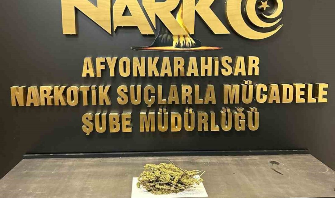 Afyonkarahisar’da polis tarafından gerçekleştirilen operasyonda 98.5 gram uyuşturucu ile 17