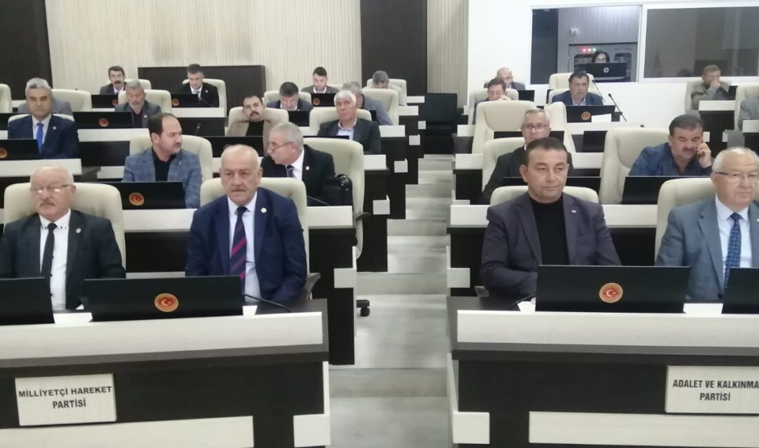 Afyonkarahisar İl Genel Meclisi’nin Kasım ayı olağan toplantıları sürüyor. Bütçe