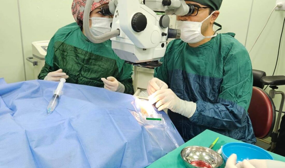 
Afyonkarahisar Sağlık Bilimleri Üniversitesi (AFSÜ) Hastanesi (Sağlık Uygulama ve Araştırma