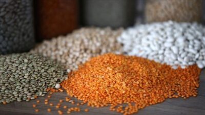   Hububat, bakliyat, yağlı tohumlar ve mamulleri sektörü, yılın 10