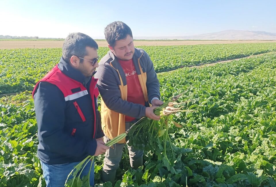 Tohumlarda kontroller yapılıyor Tarım ve Orman İl Müdürlüğü Bitkisel Üretim ve Bitki Sağlığı